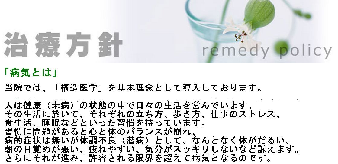佐藤整骨院