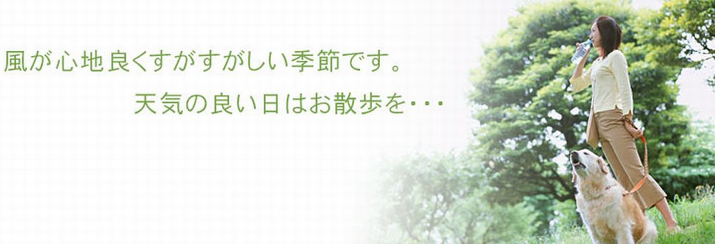 佐藤整骨院